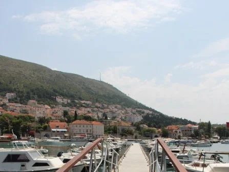 Opis slike