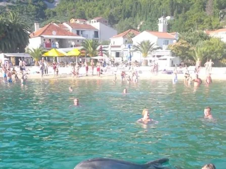 Opis slike