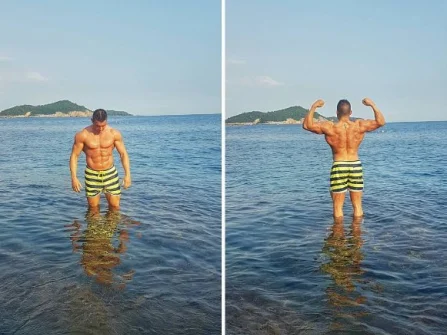 Opis slike