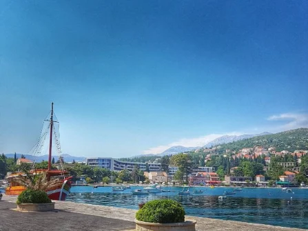 Opis slike
