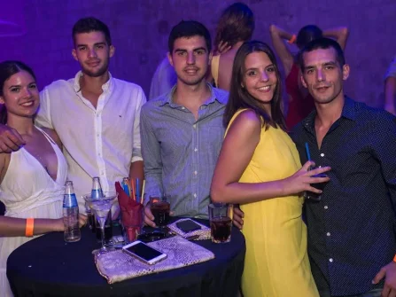 Opis slike