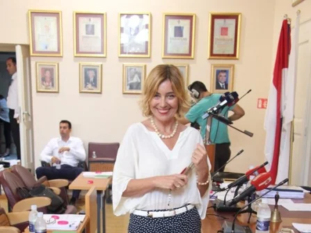 Opis slike