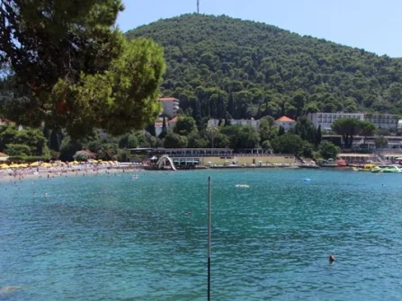 Opis slike