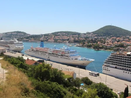 Opis slike