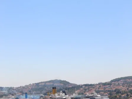 Opis slike