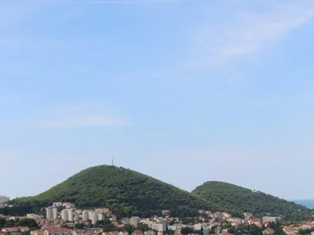 Opis slike