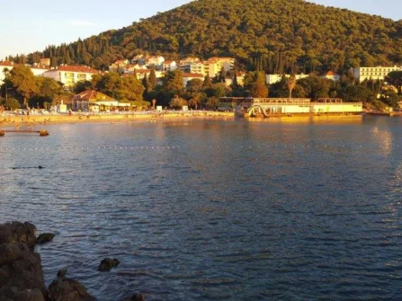 Opis slike