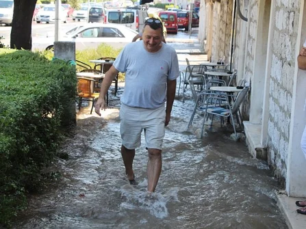 Opis slike