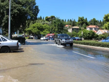 Opis slike