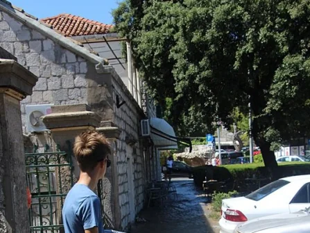 Opis slike