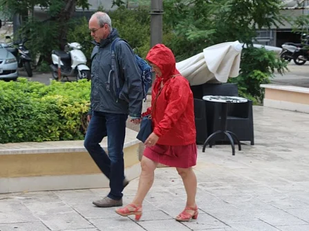 Opis slike