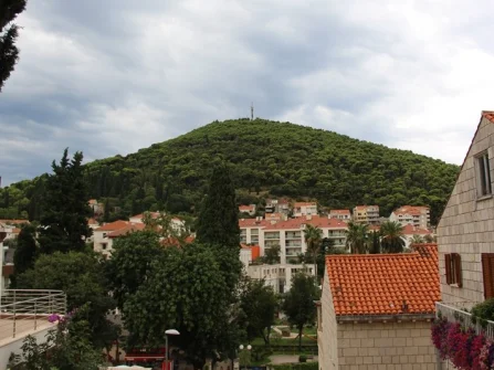 Opis slike
