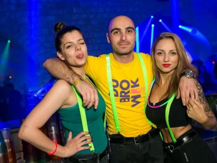 Opis slike