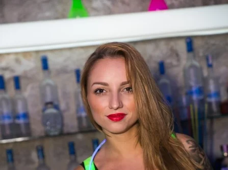 Opis slike