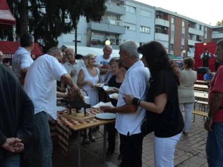 Opis slike