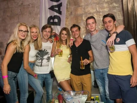 Opis slike