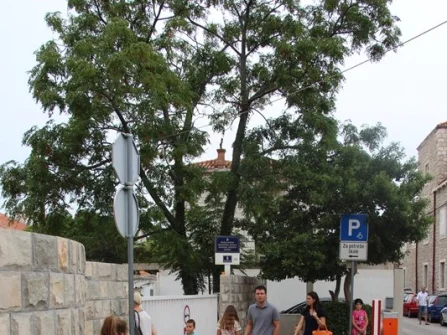 Opis slike
