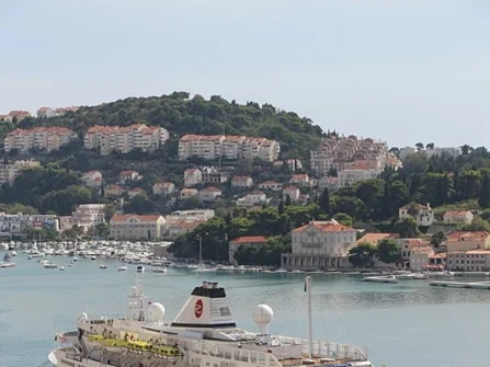 Opis slike