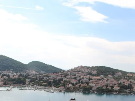 Opis slike