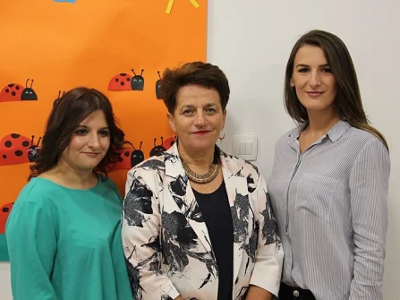 Opis slike
