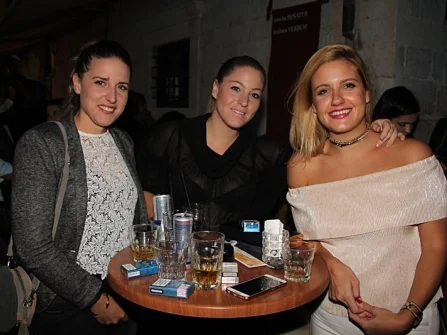 Opis slike