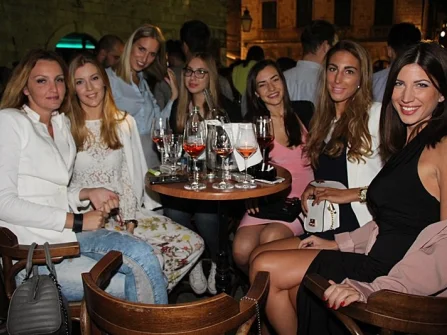 Opis slike