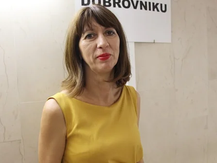Opis slike