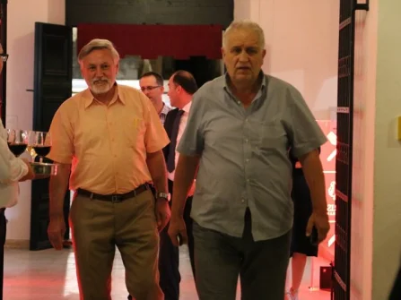 Opis slike