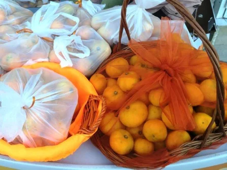 Opis slike