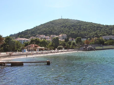 Opis slike