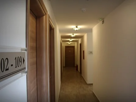 Opis slike