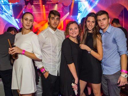 Opis slike