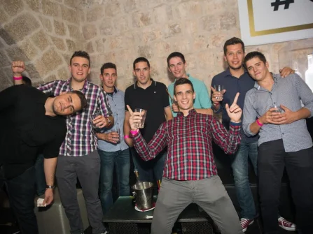 Opis slike
