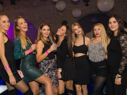 Opis slike