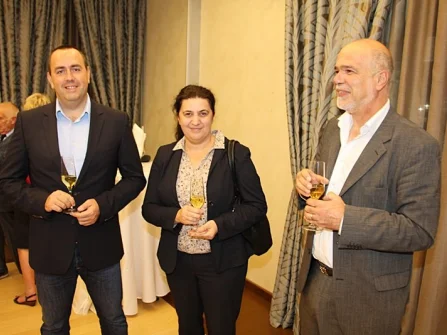 Opis slike