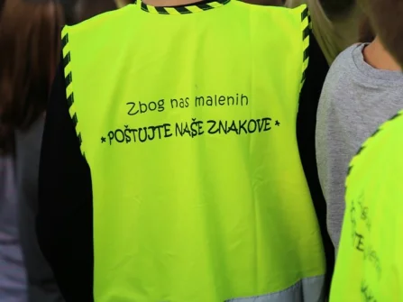Opis slike