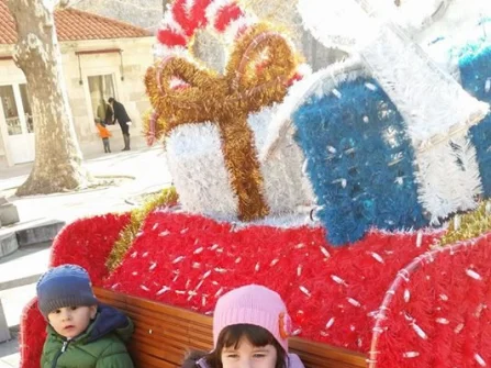 Opis slike