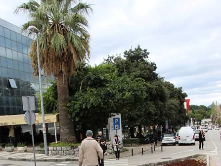 Opis slike
