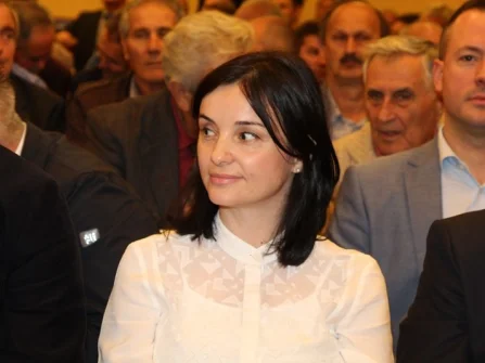 Opis slike