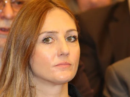 Opis slike