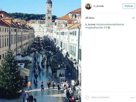 Opis slike