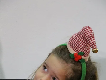Opis slike