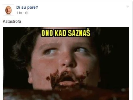 Opis slike