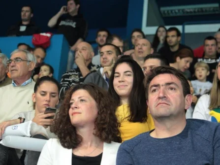 Opis slike