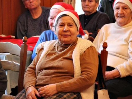 Opis slike