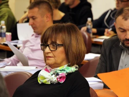 Opis slike