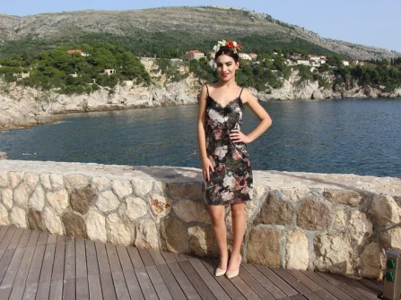 Opis slike
