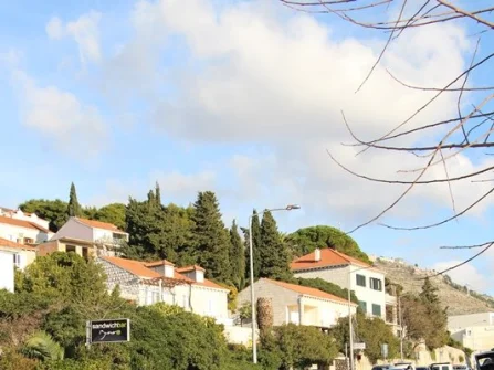 Opis slike