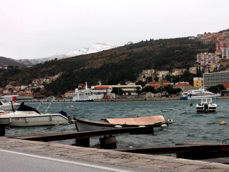 Opis slike