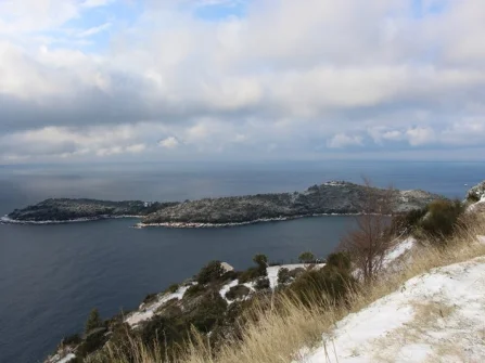 Opis slike